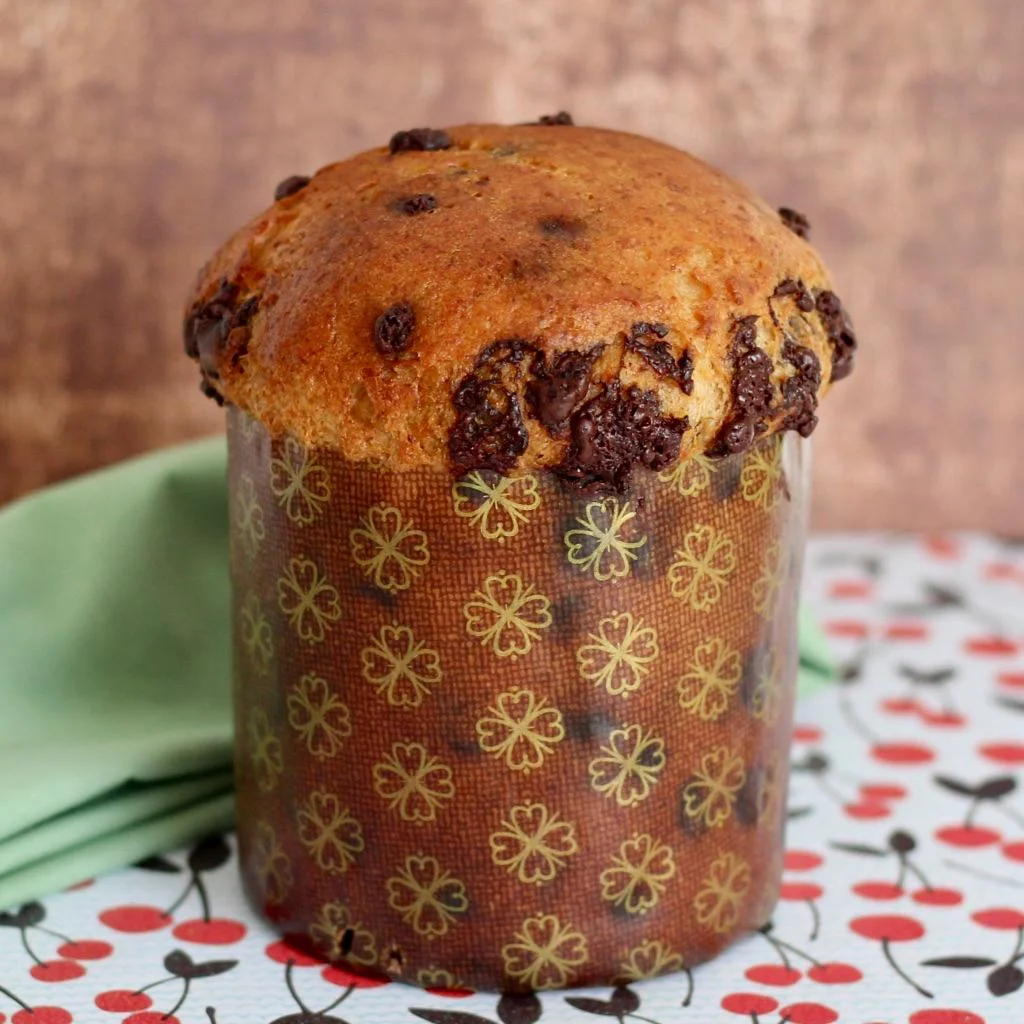 WhatsApp Image 2025-09-18 at 14.17.45